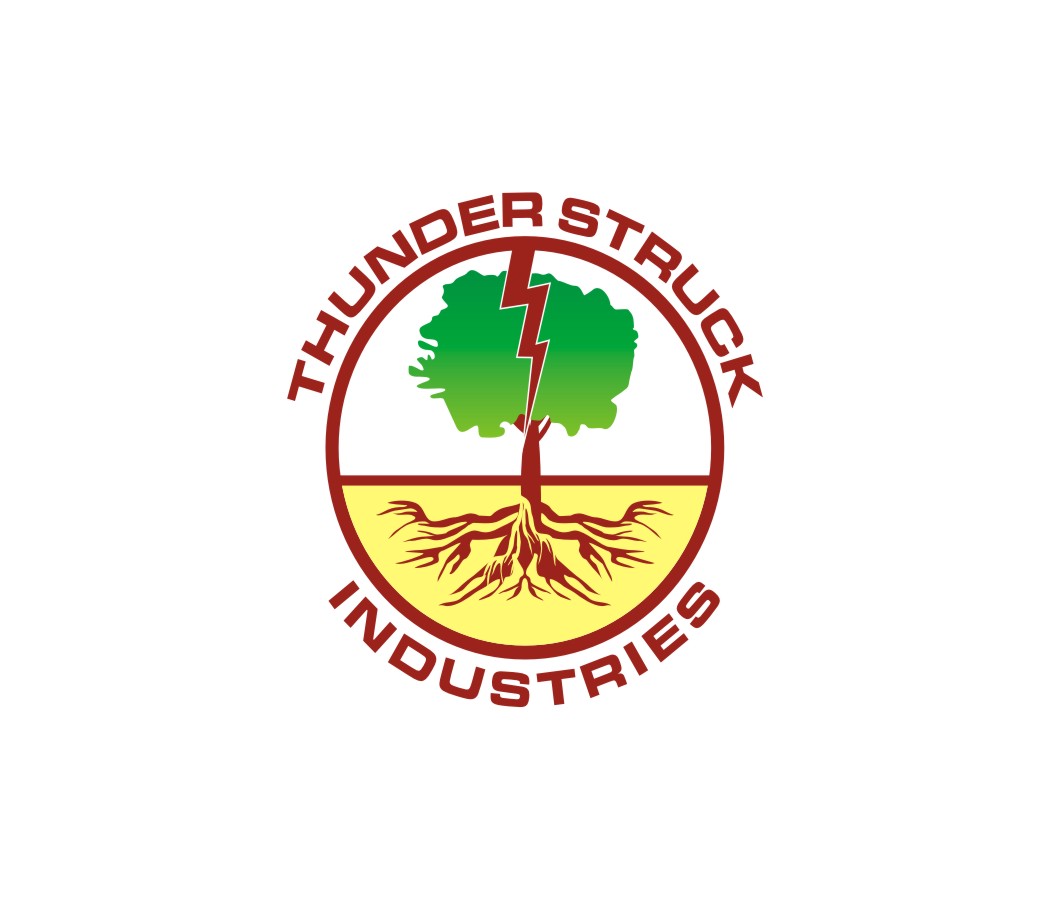 Design de Logo par lrbalaji pour Thunderstruck Industries | Design #9189545