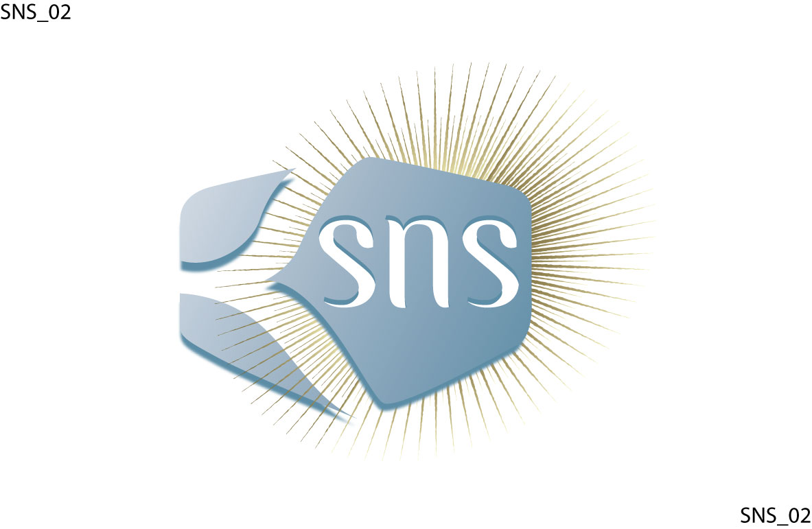 Logo Design by Concept 2 creation / C2C Studio inc. for SNS Hardware Pte Ltd | Design #15026