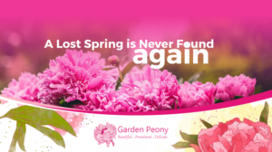 Diseño De Banner Publicitario por Mehak Ali para Garden and Lifestyle LLC | Diseño: #9249206