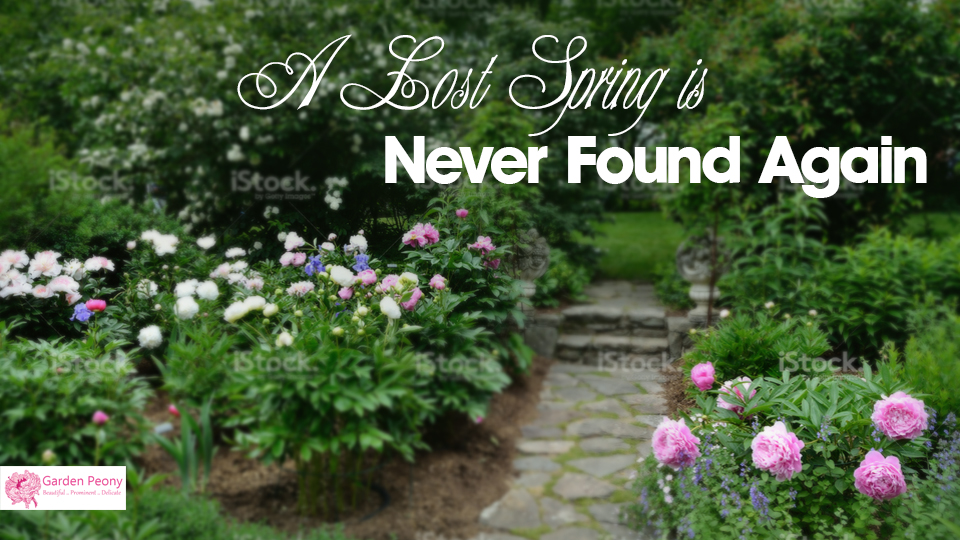 Banner Ad Design by RupalTechno for Garden and Lifestyle LLC | Design #9258611