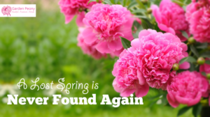 Online plant nursery needs3 seperate slides for a intro web site slide slide show | Banner-Design von RupalTechno
