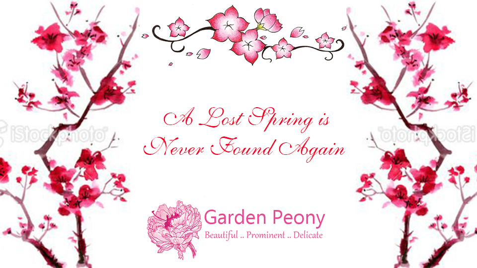 Banner-Design von Creations Box 2015 für Garden and Lifestyle LLC | Design #9211826