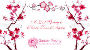 Banner Ad Design by Creations Box 2015 for Garden and Lifestyle LLC | Design: #9211826