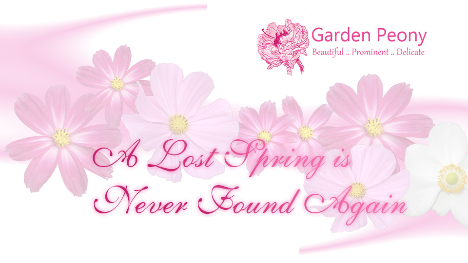 Diseño De Banner Publicitario por Creations Box 2015 para Garden and Lifestyle LLC | Diseño #9211827