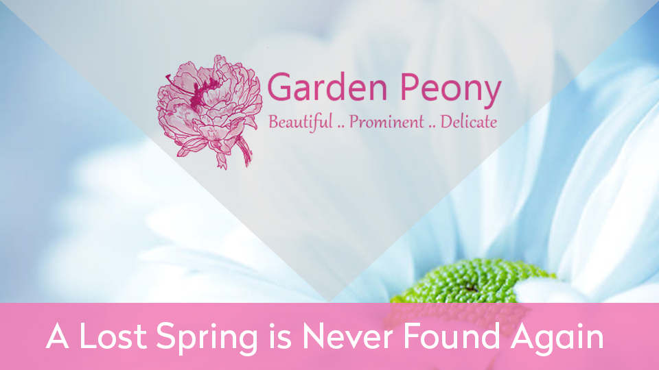 Diseño De Banner Publicitario por Creations Box 2015 para Garden and Lifestyle LLC | Diseño #9211828