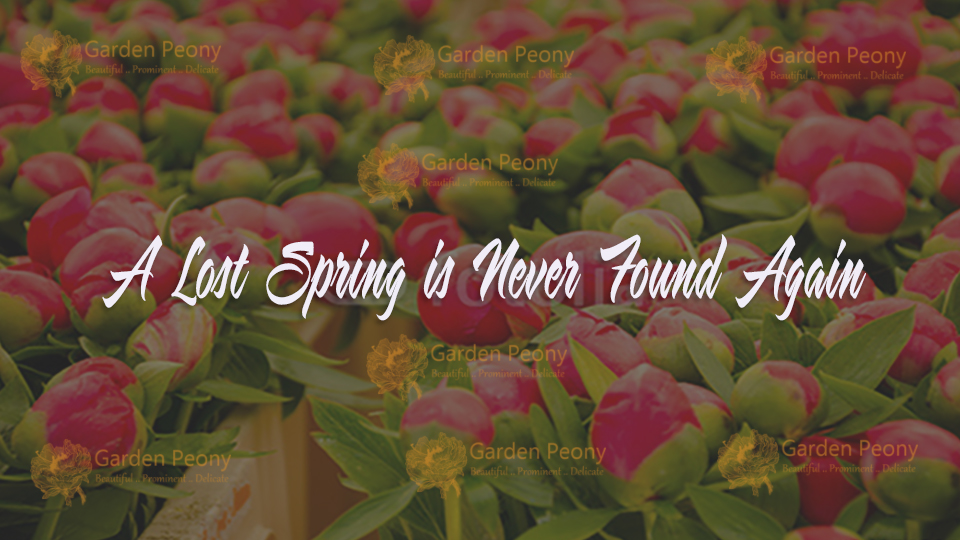 Diseño De Banner Publicitario por Graphicelements para Garden and Lifestyle LLC | Diseño #9242286