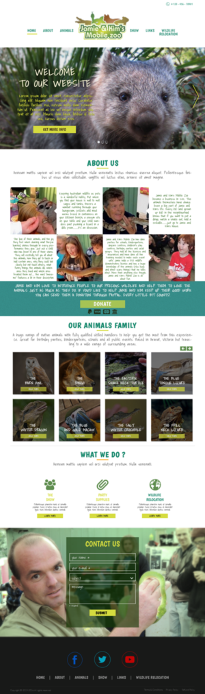 Web Design by lionx for this project | Design: #9223001