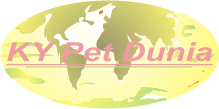 Logo Design by tomy93