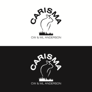 Logo-Design von Khalid Mehmood für dieses Projekt | Design: #9292005