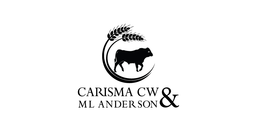 Logo-Design von debdesign für dieses Projekt | Design #9199934