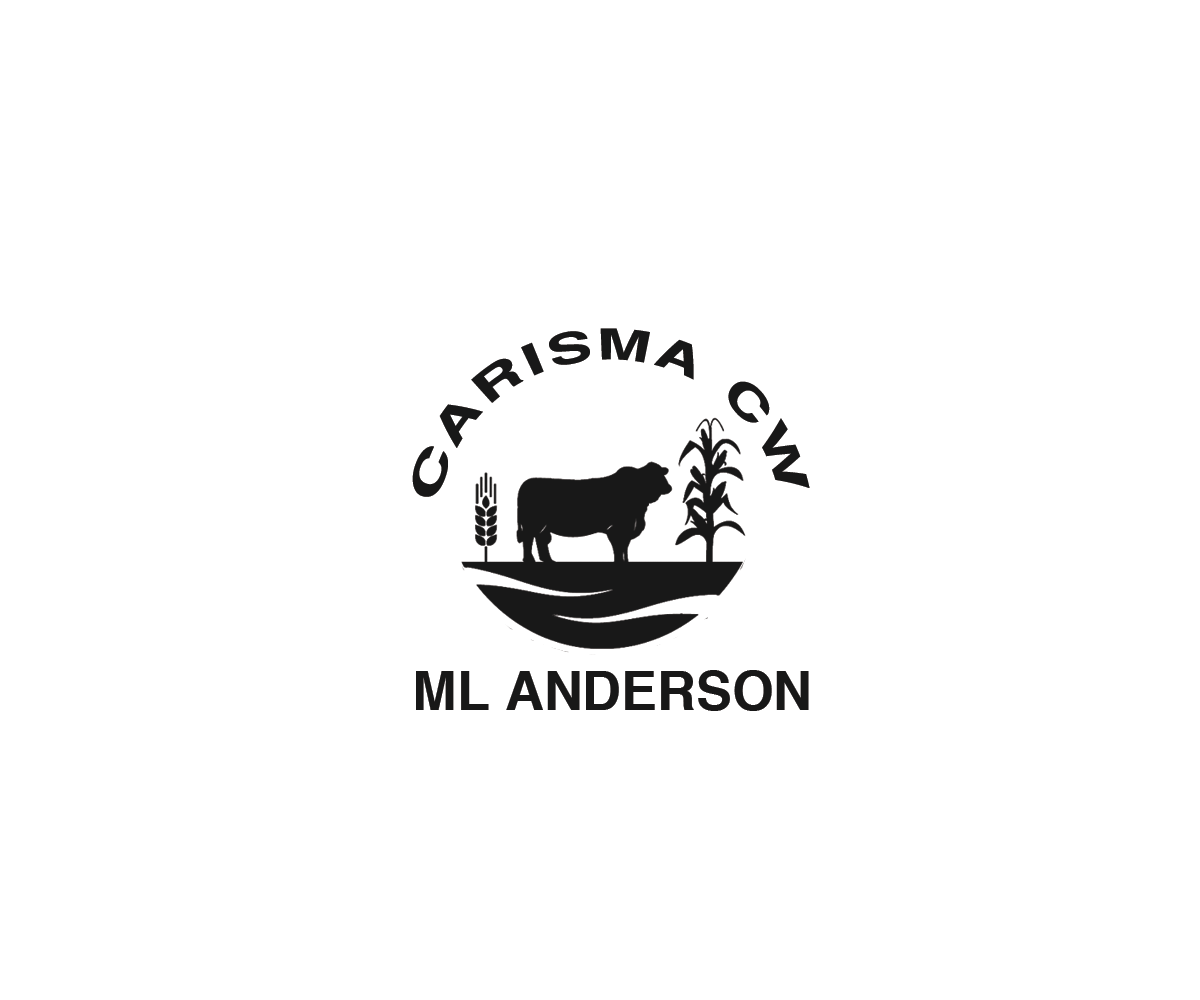 Diseño de Logo por Navneet Singh para este proyecto | Diseño #9306075