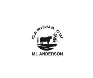 Diseño de Logo por Navneet Singh para este proyecto | Diseño: #9306075