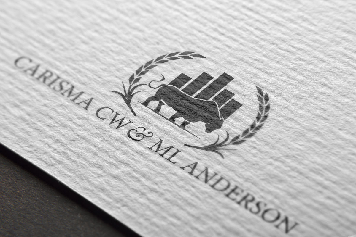 Logo-Design von pivotaldesign.biz für dieses Projekt | Design #9198313