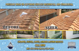 Postcard Design by Selda for this project | Design: #9251900