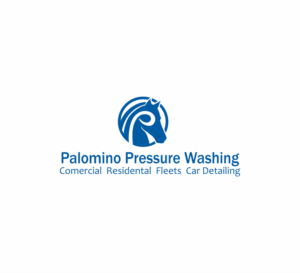 Palomino Pressure Washing or Palomino Pressure Washing Pro's.  including Commercial, Residential, Fleet, Car Detailing etc. as described in our old logo, but are open to new concepts. | Logo Design by hernawanrere