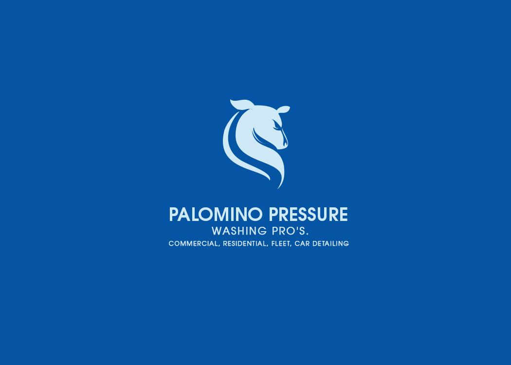 Logo Design by Design Founder for Palomino Pressure Washing | Design #9213892