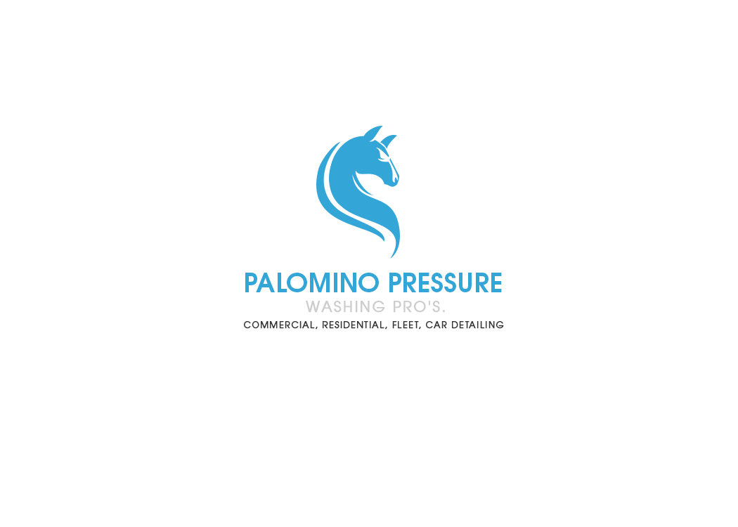 Design de Logo par Design Founder pour Palomino Pressure Washing | Design #9254128