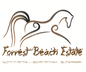 Logo-Design von wayo für dieses Projekt | Design: #9314225