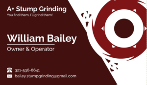Business Card Design by Shaltype
