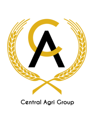 Logo Design by David Mendez Fernandez