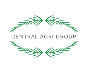 Logo Design by rebecca_909090 for this project | Design: #9343182