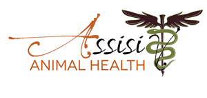 Logo Design by Annakuran