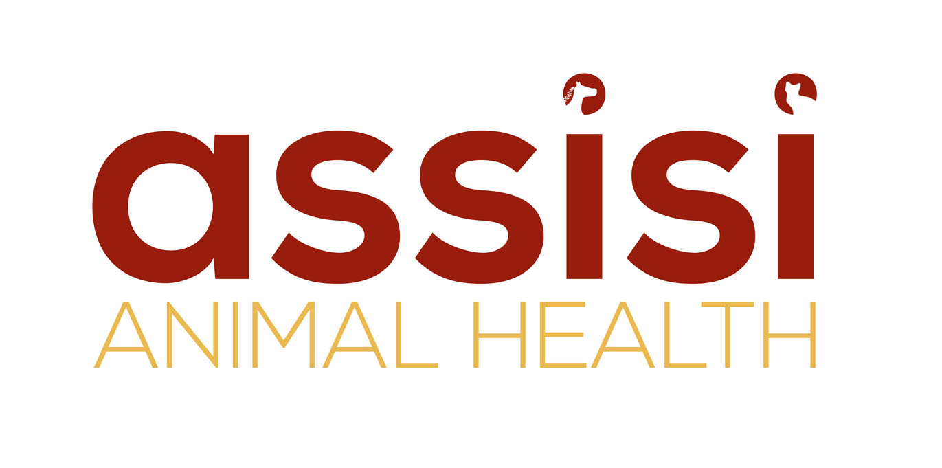 Logo Design by Illusion Media for WHWest Inc. | Design #2042679