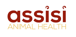 Logo Design by Illusion Media