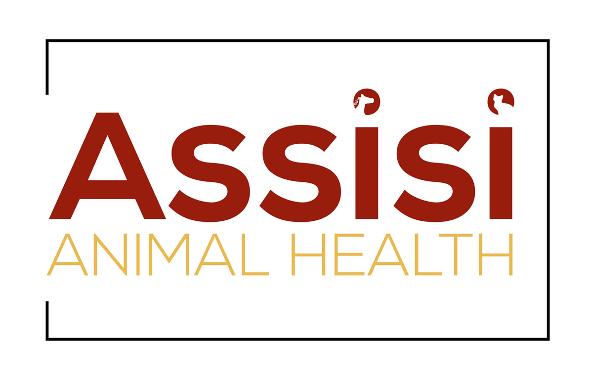 Logo-Design von Illusion Media für WHWest Inc. | Design #2042688