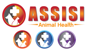 Logo Design by visual arts