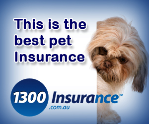 Banner Ad Design by kecy08 for this project | Design: #2048796