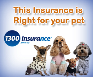 Banner Ad Design by kecy08 for this project | Design: #2048868