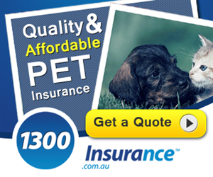 Banner Ad Design by Karolin for this project | Design: #2035990