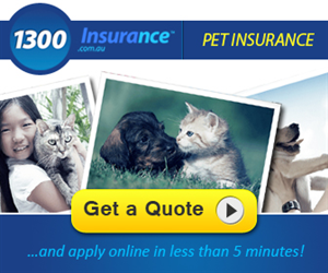 Banner Ad Design Project | Banner-Design von Karolin