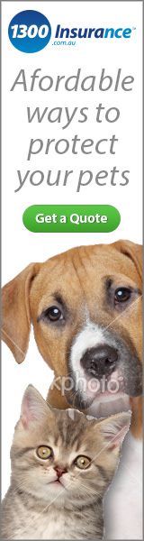 Banner Ad Design by Michael for this project | Design: #2031766