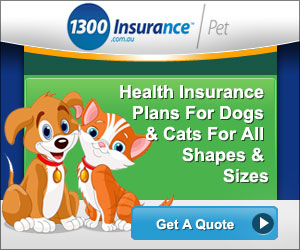 Banner Ad Design by DesignXyz for this project | Design: #2036669