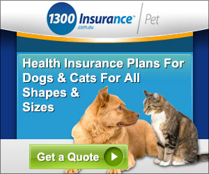 Banner Ad Design by DesignXyz for this project | Design: #2037494