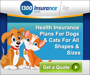 Banner Ad Design by DesignXyz for this project | Design: #2037509