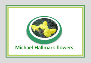 Design de Logo par designerone pour ce projet | Design : #9270306