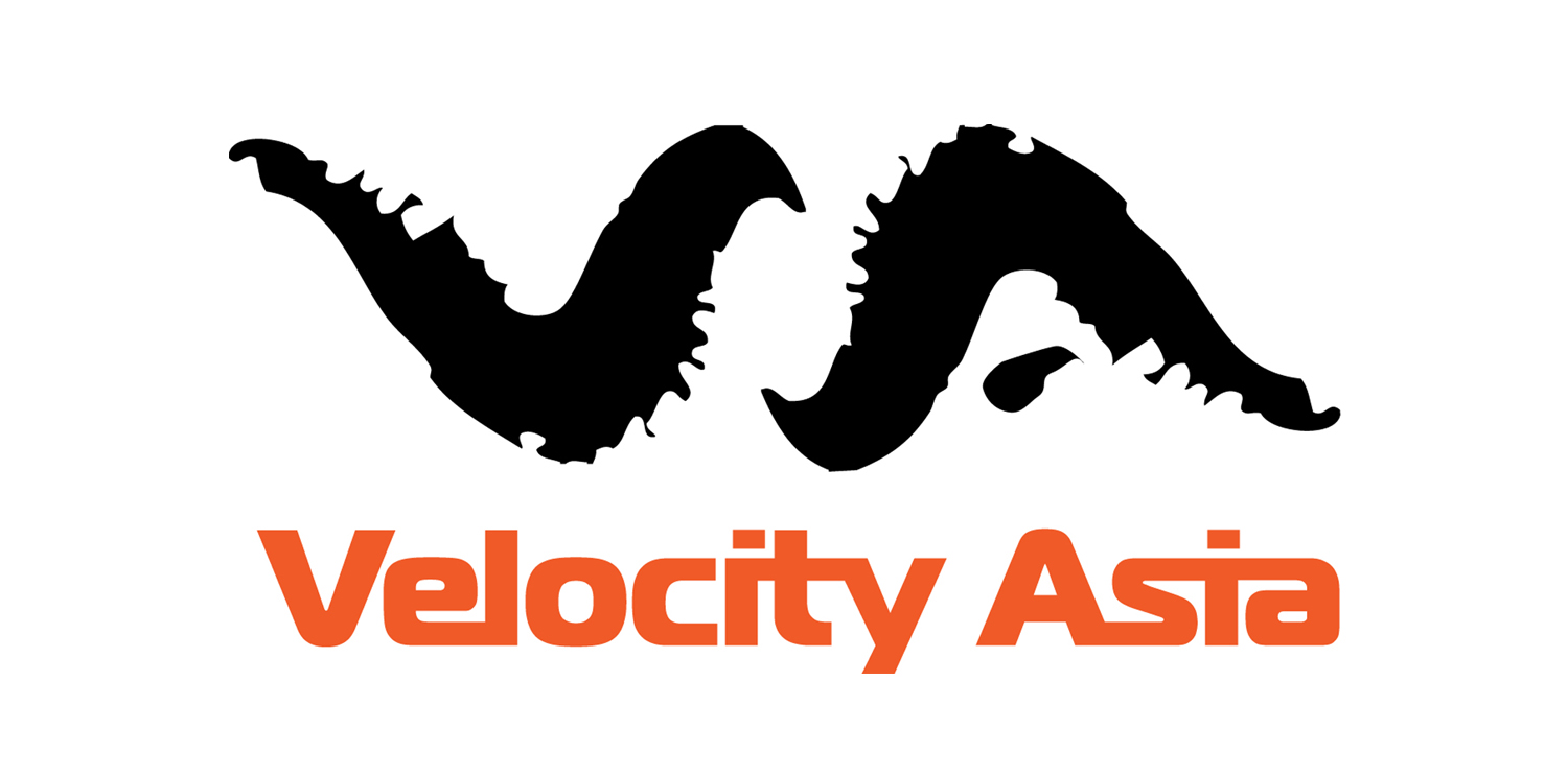 Logo Design by findes creatives for VELOCITY ASIA  | Design #9252426