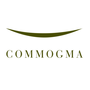 Logo Design by bkgraphik for Commogma | Design: #9251933