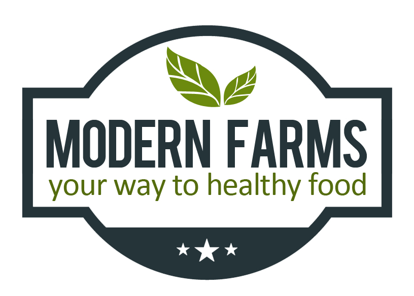 Logo Design by Salman for this project | Design #9375029