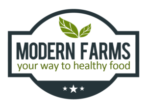 Logo Design by Salman for this project | Design #9375029