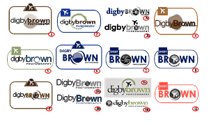 Logo Design by Spike