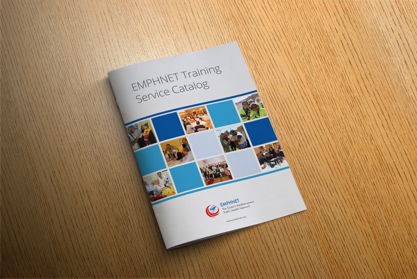 Katalog-Design von iTech Graphics für EMPHNET | Design #9243147