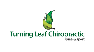 Logo Design by iDesign