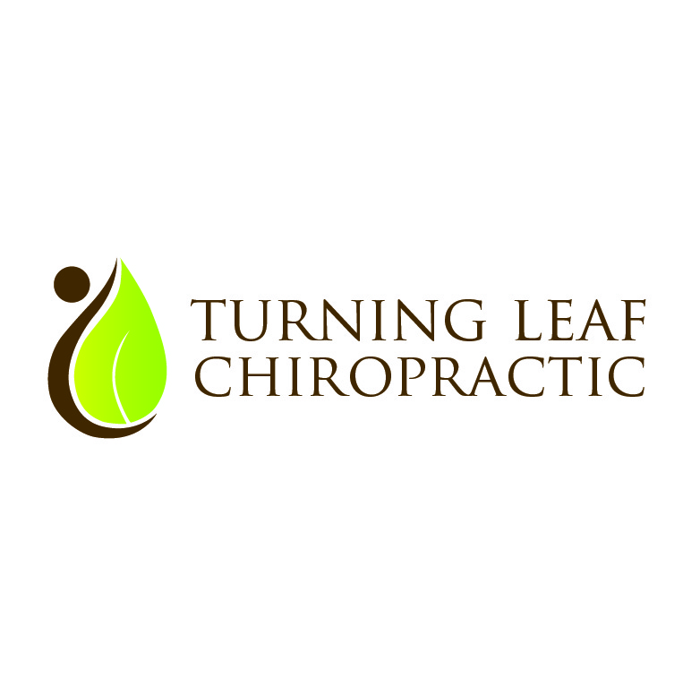 Logo Design by Design Possibilities for Turning Leaf Chiropractic - Spine & Sport | Design #2048375