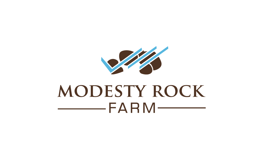 Logo Design by jose_luiz for this project | Design #9330115