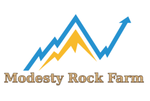 Logo Design by shasha for this project | Design #9247208