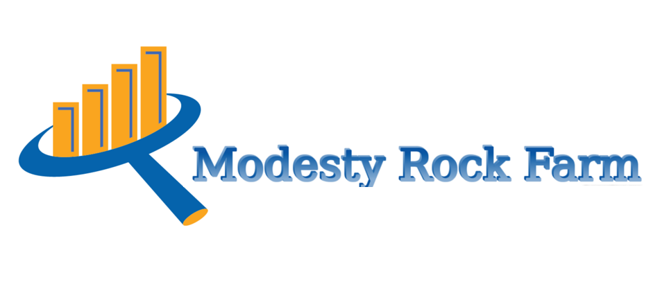 Logo Design by shasha for this project | Design #9247212